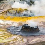 Hiking the Sentinel Meadows Trail: geothermal wonders and wildlife