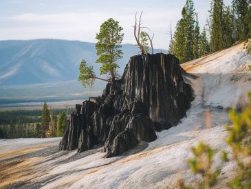 Obsidian Cliff: a historical geothermal site in Yellowstone