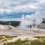 The Riverside geyser: a unique feature of Yellowstone’s upper geyser basin