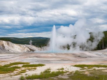 A guide to the Norris geyser basin: the hottest place in Yellowstone